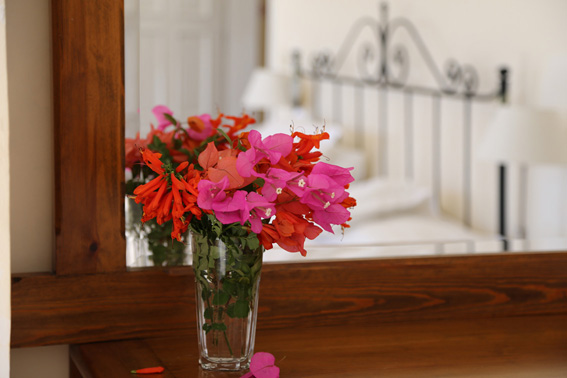 Flowers from garden
