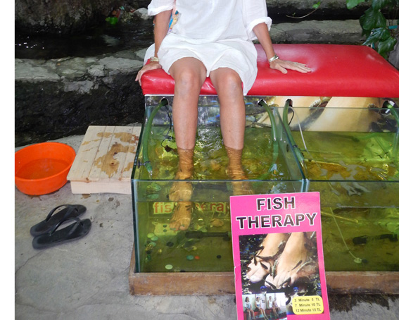 Fish therapy on feet at Yakapark